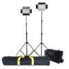 Falcon Eyes LED Lamp Set Dimmable DV-384CT with Lightstand and Bag