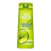 Garnier sirgendav šampoon Fructis Fuerza & Brillo 2 en 1 Fructis Fuerza Brillo (360ml) 360ml