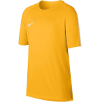 Nike Football T-särk lastele Breathe Squad SS Top Junior kollane 859877 845 , suurus XL