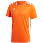 Adidas Teamwear T-särk lastele Entrada 18 Jersey Junior oranž CD8366/CF1043 128cm