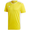 Adidas Teamwear T-särk lastele Entrada 18 Jersey Junior kollane CD8390/CF1039 116cm