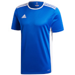 Adidas Teamwear T-särk meestele Entrada 18 Jersey sinine CF1037 , suurus 2XL