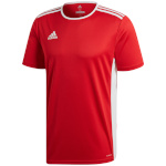 Adidas Teamwear T-särk meestele Entrada 18 Jersey punane CF1038 , suurus L