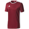 Adidas Teamwear T-särk lastele Entrada 18 Jersey Junior karmiinpunane CD8430/CE9564 128cm