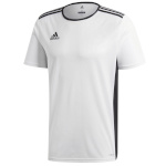 Adidas Teamwear T-särk Men Entrada 18 valge CD8438 , suurus 2XL