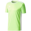 Adidas Teamwear T-särk lastele Entrada 18 Junior laimiroheline CE9758 116cm