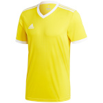 Adidas Teamwear T-särk meestele Tabela 18 Jersey kollane CE8941 , suurus S