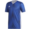 Adidas Teamwear T-särk lastele Tiro 19 Jersey Junior sinine DP3532/DP3179 164cm