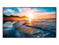 Samsung televiisor Qh55r 54.6" 139cm