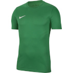 Nike Team T-särk meestele Dry Park Vii Jersey SS roheline BV6708 302 , suurus S