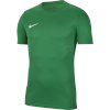 Nike Team T-särk meestele Dry Park Vii Jersey SS roheline BV6708 302 , suurus M