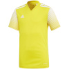 Adidas Teamwear T-särk lastele Regista 20 Jersey Junior kollane FI4568 128cm