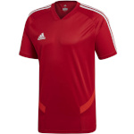 Adidas Teamwear T-särk meestele Tiro 19 Training Jersey punane D95944 , suurus S