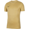 Nike Team T-särk meestele Dry Park Vii Jersey SS Gold BV6708 729 , suurus S