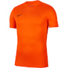 Nike Team T-särk meestele Dry Park Vii Jersey SS oranž BV6708 819 , suurus S