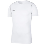 Nike Team T-särk meestele Dry Park 20 Top SS valge BV6883 100 , suurus S