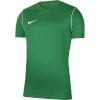 Nike Team T-särk meestele Dry Park 20 Top SS roheline BV6883 302 , suurus XL