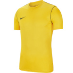 Nike Team T-särk meestele Dry Park 20 Top SS kollane BV6883 719 , suurus S