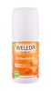 Weleda deodorant Sea Buckthorn 24h Roll-On 50ml, naistele