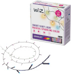 WiZ Fairy Light dekoratiivvalgusti komplekt, 160 LED-i