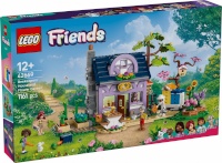 LEGO klotsid 42669 Friends Haus und Blumengarten der Imker