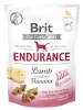 Brit maius koerale Functional Snack Endurance Lamb - Dog treat - 150g