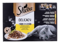 Sheba kassitoit Delicacy in Jelly Chicken Flavours, 12x85g