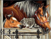 Norimpex teemantmaal Diamond Mosaic - horses with a cat