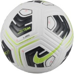 Nike jalgpall Academy Team FA24 valge-must-roheline FZ7540 100 5