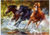 Norimpex teemantmaal Diamond Mosaic - horses in the river