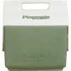 Igloo külmakast ECOCOOL Little Playmate Elite Cool Box, roheline/valge