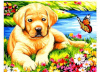 Norimpex teemantmaal Diamond Mosaic - Dog with a butterfly