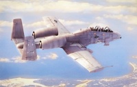 Hobby Boss liimitav mudel N/AW A-10A Thunderbolt II 1/48