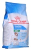 Royal Canin kuivtoit koerale SHN Mini Starter M&B, 4kg