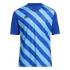 Adidas Teamwear T-särk lastele Entrada 22 Graphic Jersey sinine HF0130 suurus 176cm