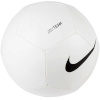 Nike jalgpall Pitch Team valge DH9796 100 3