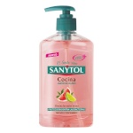 Sanytol käteseebijaotur Antibacterias Kitchen 280120 (250ml) 250ml