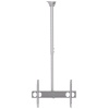 Sunne laekinnitus PL-C62 Ceiling mount 37-70 ", Tilt, Maximum weight 50 kg, hõbedane