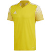 Adidas Teamwear T-särk meestele Regista 20 Jersey kollane FI4556 , suurus XS