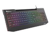 Natec klaviatuur Gaming Keyboard Genesis Lith 400 RGB Gaming