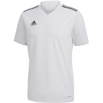 Adidas Teamwear T-särk meestele Regista 20 Jersey valge FI4553 , suurus 2XL