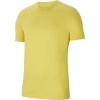 Nike Team T-särk meestele Park kollane CZ0881 719 , suurus 2XL