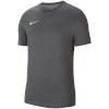 Nike Team T-särk meestele Dri-Fit Park 20 Tee hall CW6952 071 , suurus M