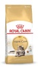 Royal Canin kuivtoit kassile Maine Coon Adult Cats Dry Food 10kg