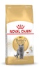 Royal Canin kuivtoit kassile British Shorthair Adult Cats Dry Food 10kg