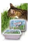 Certech kuivtoit kassile 10319 pet grass seed Cat