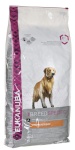 Eukanuba kuivtoit koerale Golden Retriever Chicken 12kg