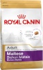 Royal Canin kuivtoit koerale Maltese Adult Corn,Poultry 0.5kg