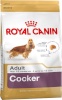 Royal Canin kuivtoit koerale Cocker Adult Corn,Poultry,Rice 12kg