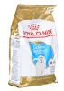 Royal Canin kuivtoit koerale Golden Retriever Puppy 3kg